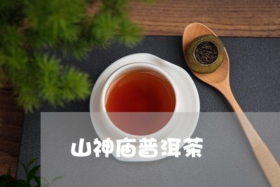 山神庙普洱茶/2023042656582