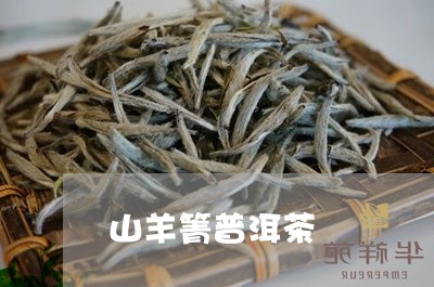 山羊箐普洱茶/2023042665904