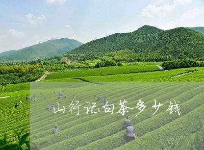 山行记白茶多少钱/2023062060463