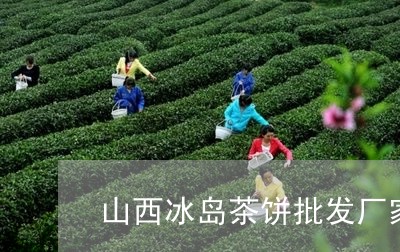 山西冰岛茶饼批发厂家/2023061251614