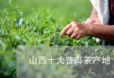 山西十大普洱茶产地/2023112625938