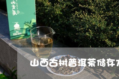 山西古树普洱茶储存方法/2023110519583