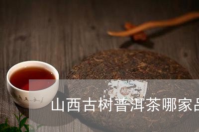 山西古树普洱茶哪家品牌好/2023082992704