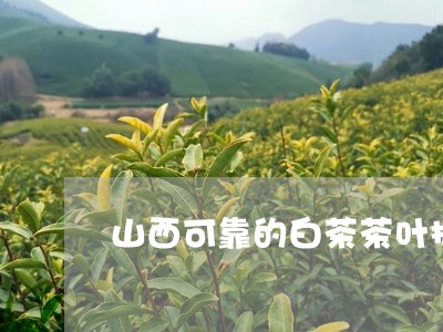 山西可靠的白茶茶叶招商/2023102597360