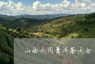 山西大同普洱茶大仓/2023101689491