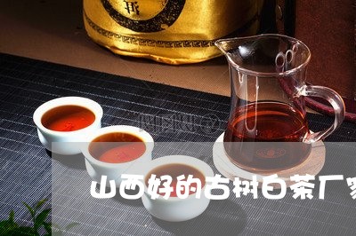 山西好的古树白茶厂家/2023093024706