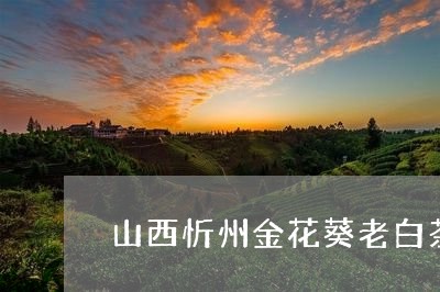 山西忻州金花葵老白茶/2023093003036