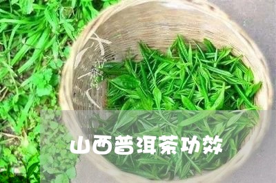 山西普洱茶功效/2023110515958