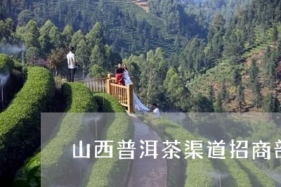 山西普洱茶渠道招商部/2023092582816