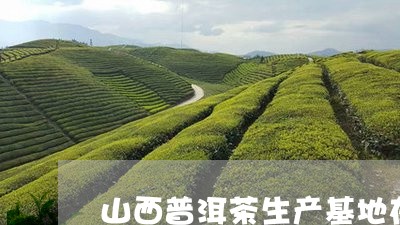 山西普洱茶生产基地在那里/2023110570714