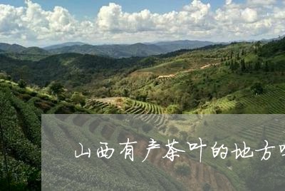 山西有产茶叶的地方吗/2023092249503