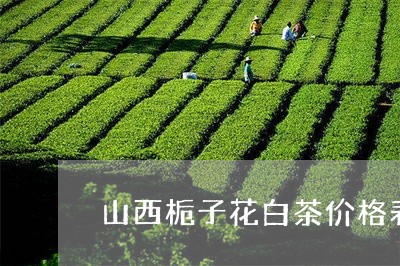 山西栀子花白茶价格表/2023093045930