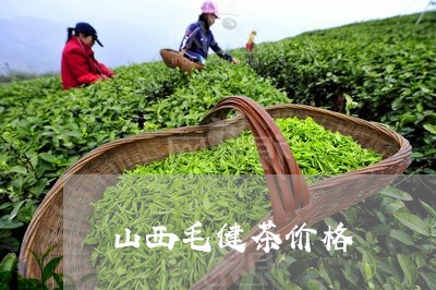 山西毛健茶价格/2023050177697