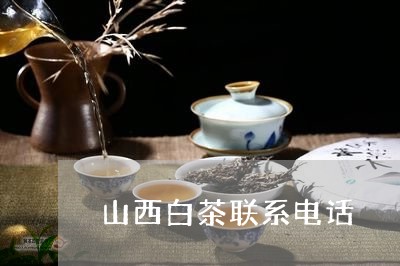 山西白茶联系电话/2023061949572