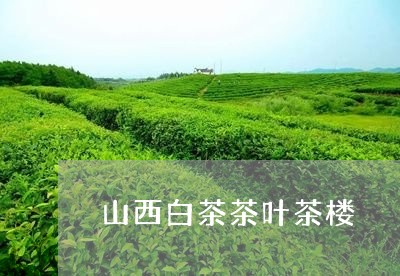 山西白茶茶叶茶楼/2023061939382