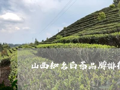 山西知名白茶品牌排行榜/2023102584936