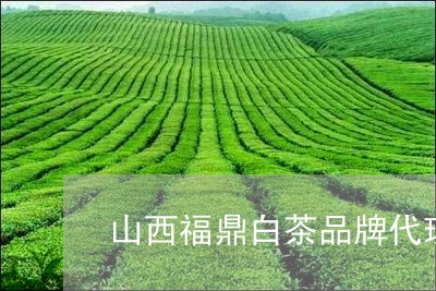 山西福鼎白茶品牌代理/2023093017270