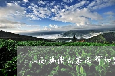 山西福鼎白茶品牌加盟/2023093014048