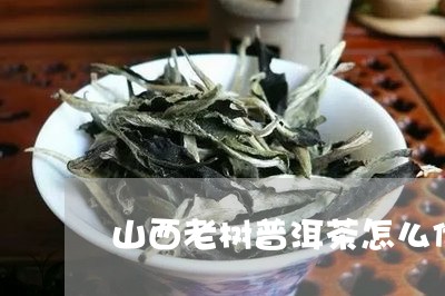 山西老树普洱茶怎么储存/2023121681785