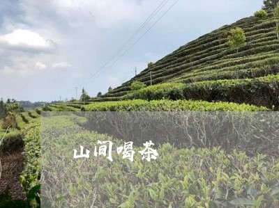 山间喝茶/2023110951816