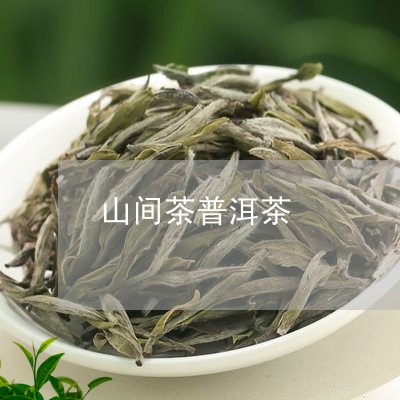 山间茶普洱茶/2023112699261