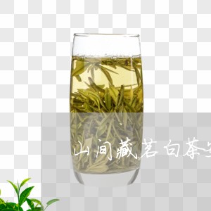 山间藏茗白茶安吉/2023062071514