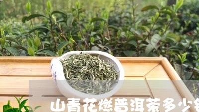 山青花燃普洱茶多少钱/2023062032725