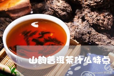 山韵普洱茶什么特点/2023071060684