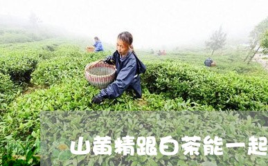 山黄精跟白茶能一起泡吗/2023102519796