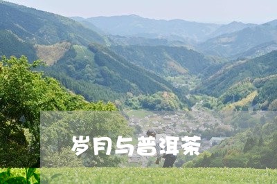 岁月与普洱茶/2023042792724