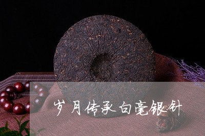 岁月传承白毫银针/2023090702604