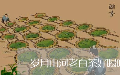 岁月山河老白茶好喝吗/2023093010481