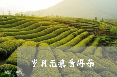 岁月无痕普洱茶/2023102670493