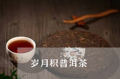 岁月积普洱茶/2023042899662