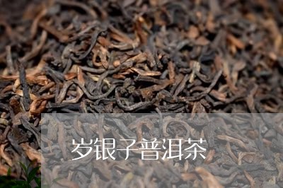 岁银子普洱茶/2023091251714