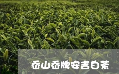 岙山岙牌安吉白茶/2023061980629