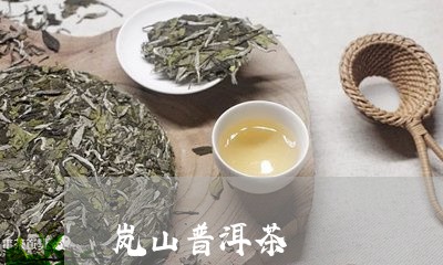 岚山普洱茶/2023090516260