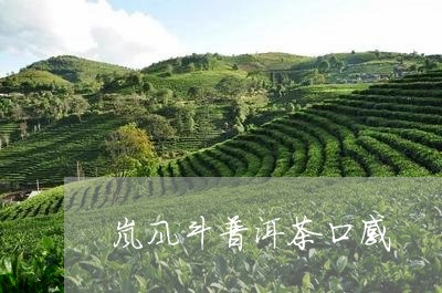 岚风斗普洱茶口感/2023120487360