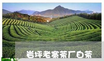 岩坪老寨茶厂白茶/2023061977289