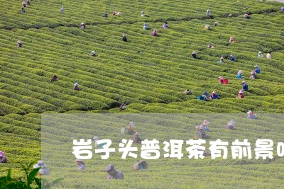 岩子头普洱茶有前景吗/2023092708251