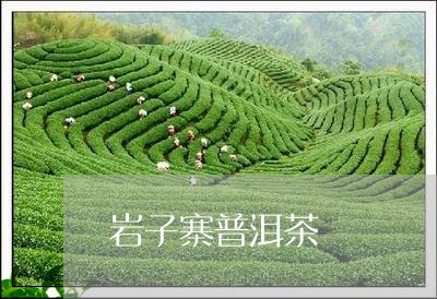 岩子寨普洱茶/2023090698382