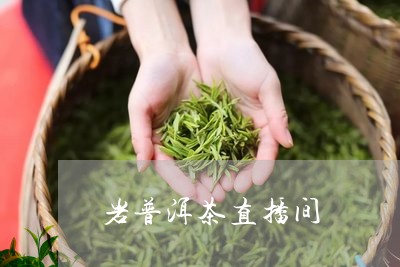 岩普洱茶直播间/2023112635060