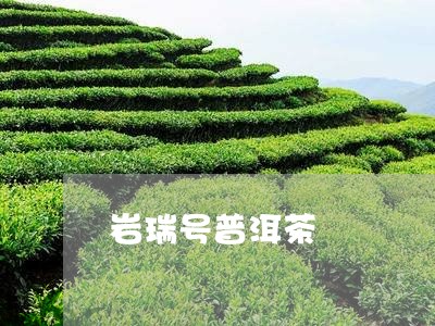 岩瑞号普洱茶/2023042556875