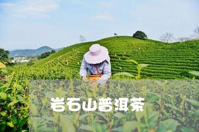 岩石山普洱茶/2023042999616