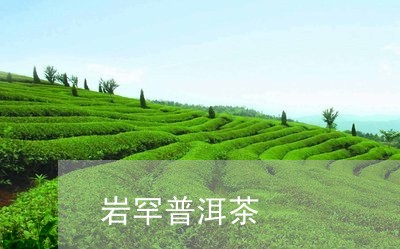 岩罕普洱茶/2023090550592