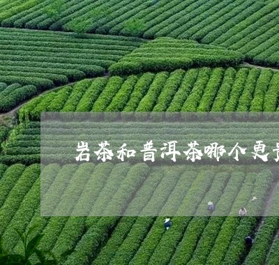 岩茶和普洱茶哪个更贵/2023080298383