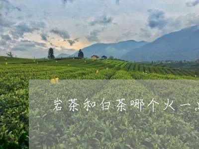 岩茶和白茶哪个火一点/2023093038280