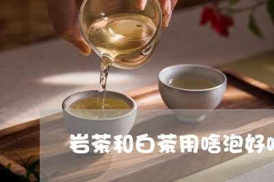 岩茶和白茶用啥泡好喝/2023093075936