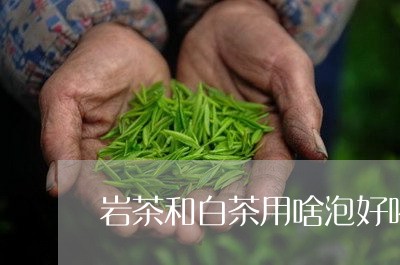 岩茶和白茶用啥泡好喝点/2023102574848