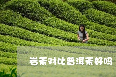 岩茶对比普洱茶好吗/2023082852715